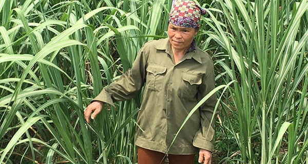 Xã Lạc Lương đổi thay nhờ Dự án giảm nghèo