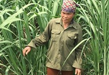 Xã Lạc Lương đổi thay nhờ Dự án giảm nghèo