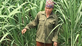 Xã Lạc Lương đổi thay nhờ Dự án giảm nghèo Xã Lạc Lương đổi thay nhờ Dự án giảm nghèo