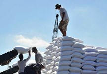 Kéo dài thời gian áp thuế đối với đường nhập khẩu