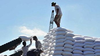 Kéo dài thời gian áp thuế đối với đường nhập khẩu Kéo dài thời gian áp thuế đối với đường nhập khẩu