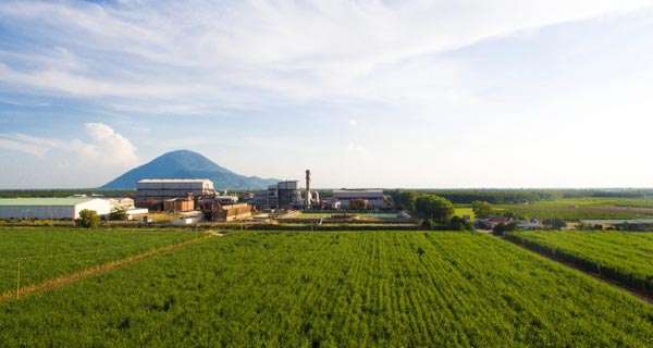 Ngành đường Việt Nam trước hội nhập - Cơ hội và thách thức