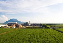 Ngành đường Việt Nam trước hội nhập - Cơ hội và thách thức