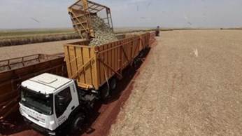 Brazil tăng cường sản xuất ethanol từ mía Brazil tăng cường sản xuất ethanol từ mía