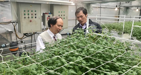 Nông nghiệp 4.0 và một số gợi ý chính sách