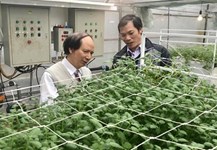 Nông nghiệp 4.0 và một số gợi ý chính sách